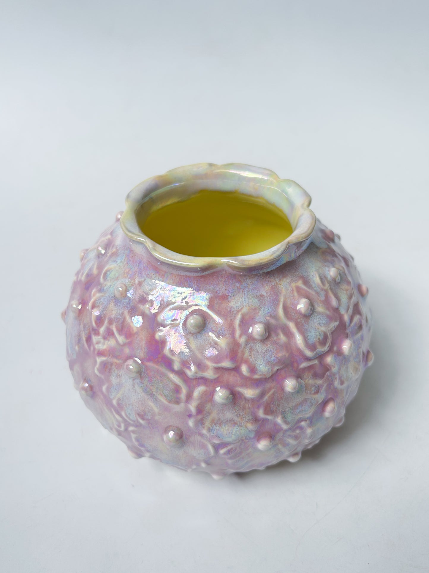 Pearlescent Seashell Vase